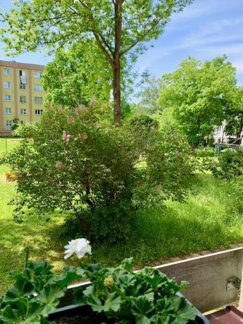 Apartman Snyt Primka Olomouc Eksteriør bilde